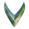 Vayther